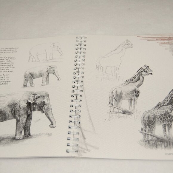 Simply Drawing Book by Jacqui Grantford, 64 Pages - Picture 3 of 4
